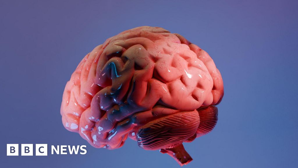 Indian Scientists Map Human Brainstem at Cellular Resolution in 3D
